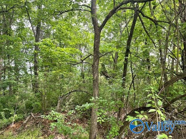 4000 Juniper Drive, Huntsville, AL 35810