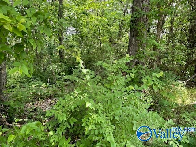 4000 Juniper Drive, Huntsville, AL 35810