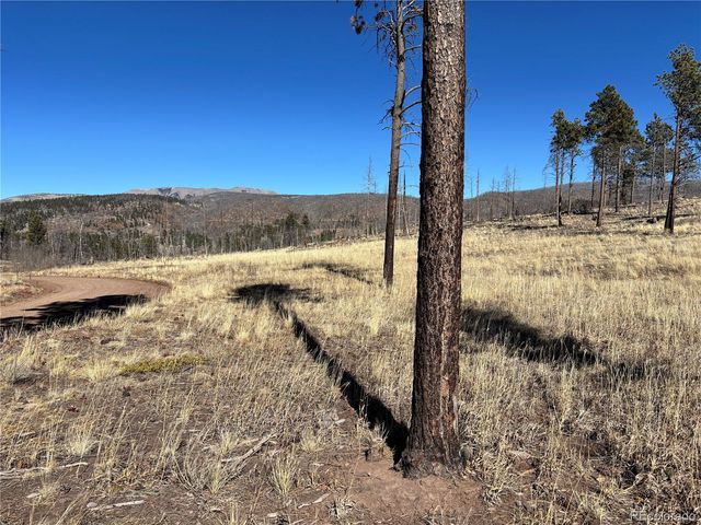 00 Hart Ln., Fort Garland, CO 81133