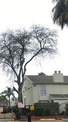 8714 Village Of Fondren Drive 8714, Houston, TX 77071