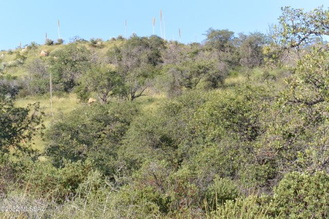 TBD N Callas Drive 20 Ac, Oracle, AZ 85623