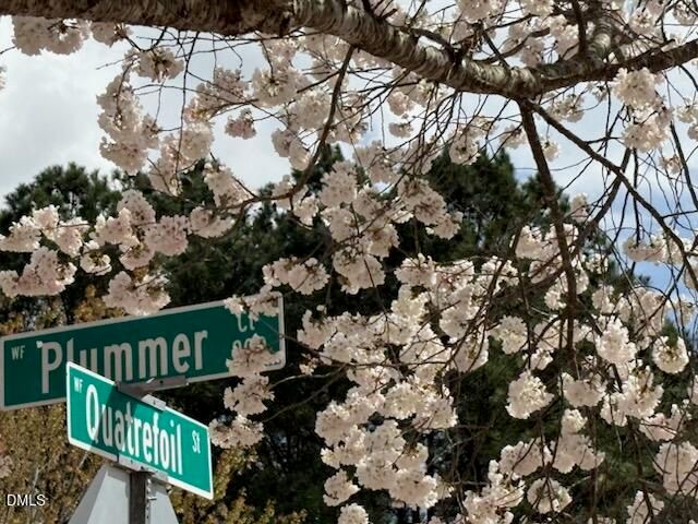 909 Plummer Court, Wake Forest, NC 27587