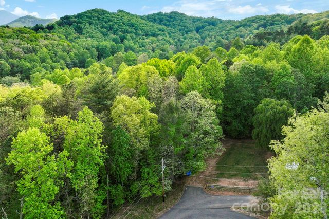 99999 Elana Chase Drive, Candler, NC 28715