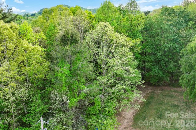 99999 Elana Chase Drive, Candler, NC 28715