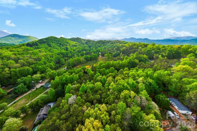 99999 Elana Chase Drive, Candler, NC 28715