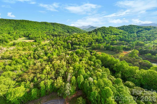 99999 Elana Chase Drive, Candler, NC 28715