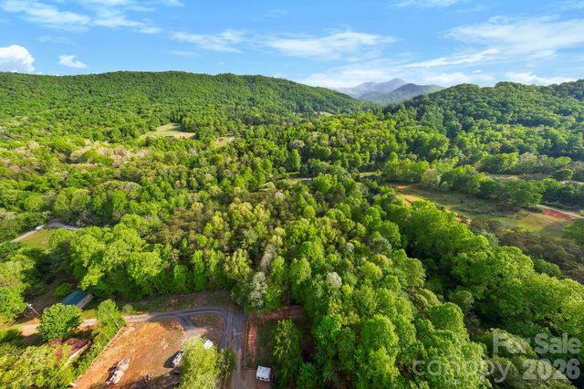 99999 Elana Chase Drive, Candler, NC 28715
