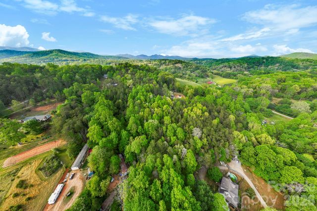 99999 Elana Chase Drive, Candler, NC 28715