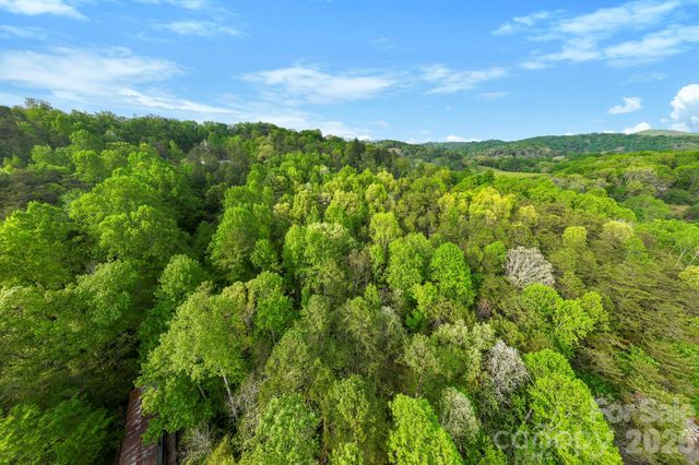 99999 Elana Chase Drive, Candler, NC 28715