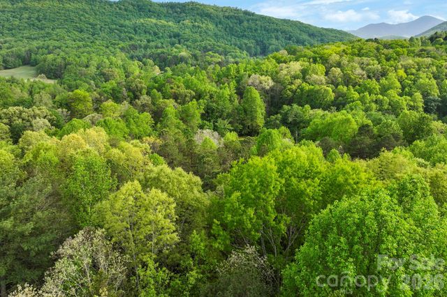 99999 Elana Chase Drive, Candler, NC 28715