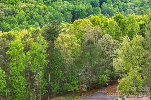 99999 Elana Chase Drive, Candler, NC 28715