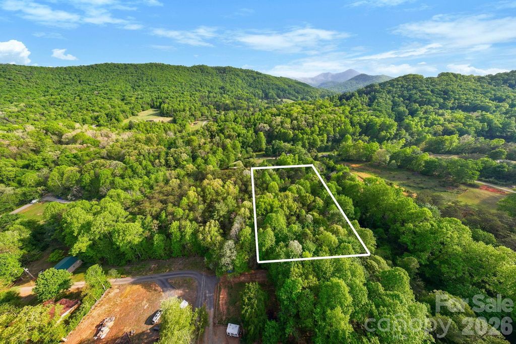 99999 Elana Chase Drive, Candler, NC 28715
