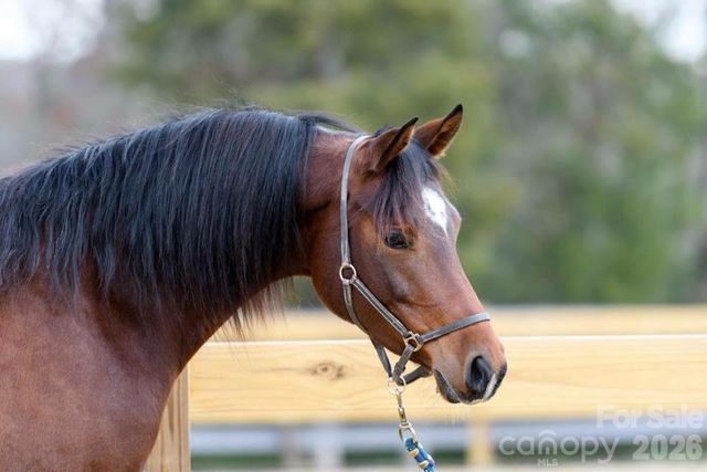 6207 Victory Pass Lane, Waxhaw, NC 28173