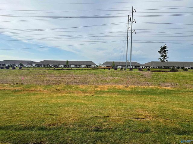 139 Little Britain Street, Madison, AL 35758