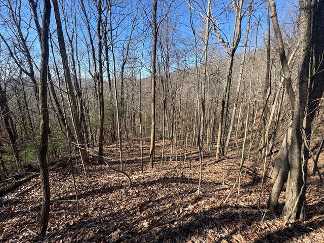 17 Oak Ridge Estates, Murphy, NC 28906