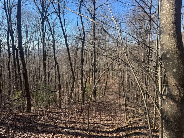 17 Oak Ridge Estates, Murphy, NC 28906