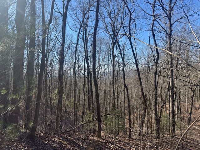 17 Oak Ridge Estates, Murphy, NC 28906