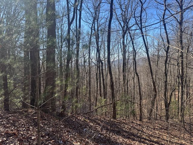 17 Oak Ridge Estates, Murphy, NC 28906