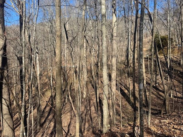 17 Oak Ridge Estates, Murphy, NC 28906