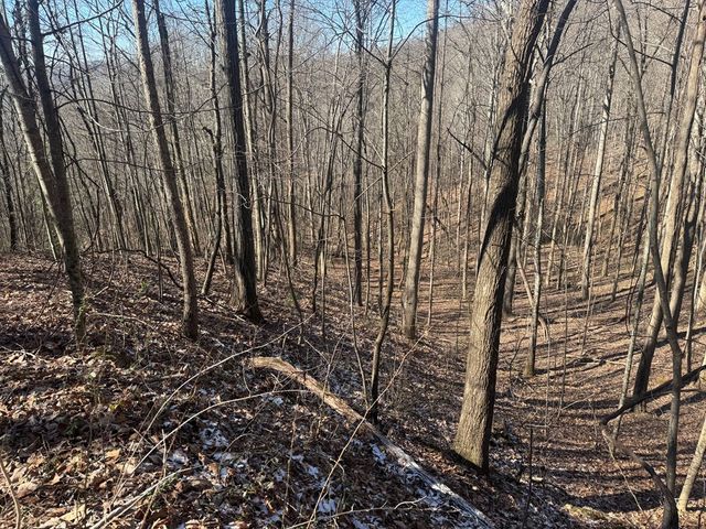 17 Oak Ridge Estates, Murphy, NC 28906