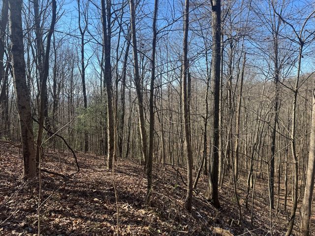 17 Oak Ridge Estates, Murphy, NC 28906