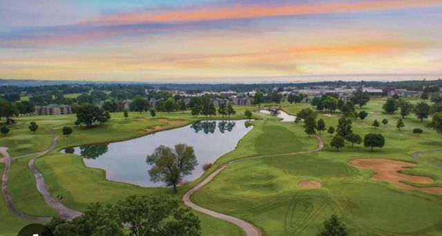 525 Valley View Road 301, Branson, MO 65616