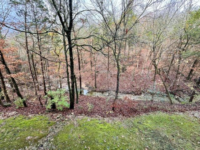 525 Valley View Road 301, Branson, MO 65616