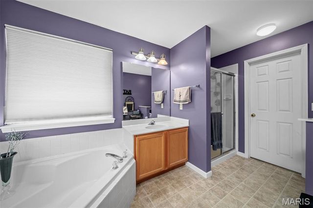 226 Charging Bear Drive, Wentzville, MO 63385