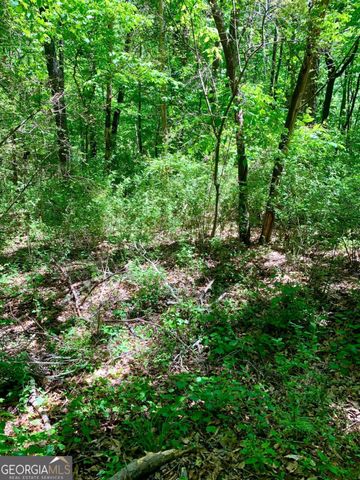 0 S Tanglewood Drive, Royston, GA 30662