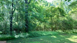 0 S Tanglewood Drive, Royston, GA 30662