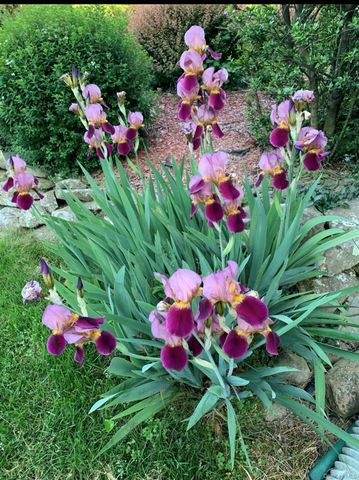 29 Deer Brook Drive, New Windsor, NY 12553