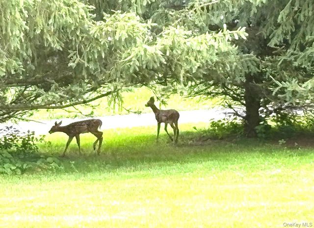 29 Deer Brook Drive, New Windsor, NY 12553