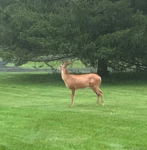 29 Deer Brook Drive, New Windsor, NY 12553