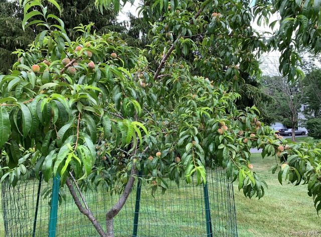 29 Deer Brook Drive, New Windsor, NY 12553