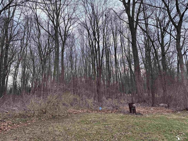 9404 Summerfield Road, Bedford Twp, MI 48182