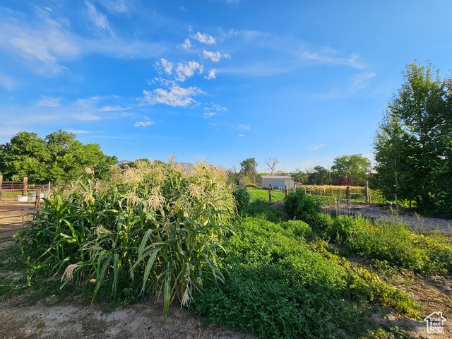 290 W 300 N, Orangeville, UT 84537