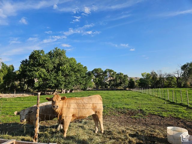 290 W 300 N, Orangeville, UT 84537