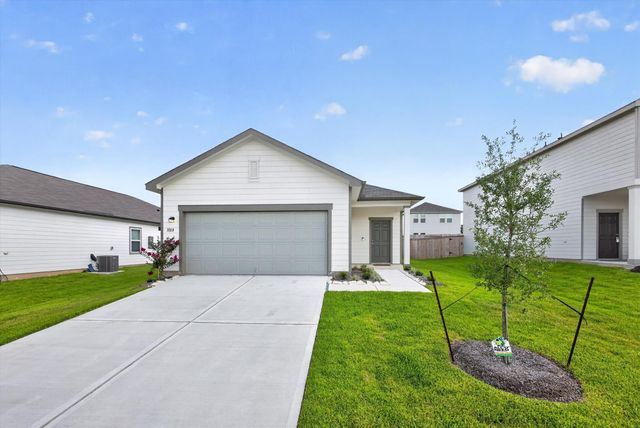 31318 Gayle Prairie Oaks St Street, Waller, TX 77484