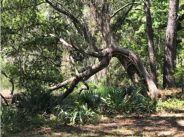2907 River Road, Johns Island, SC 29455