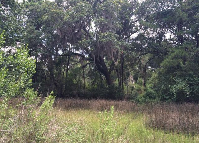 2907 River Road, Johns Island, SC 29455