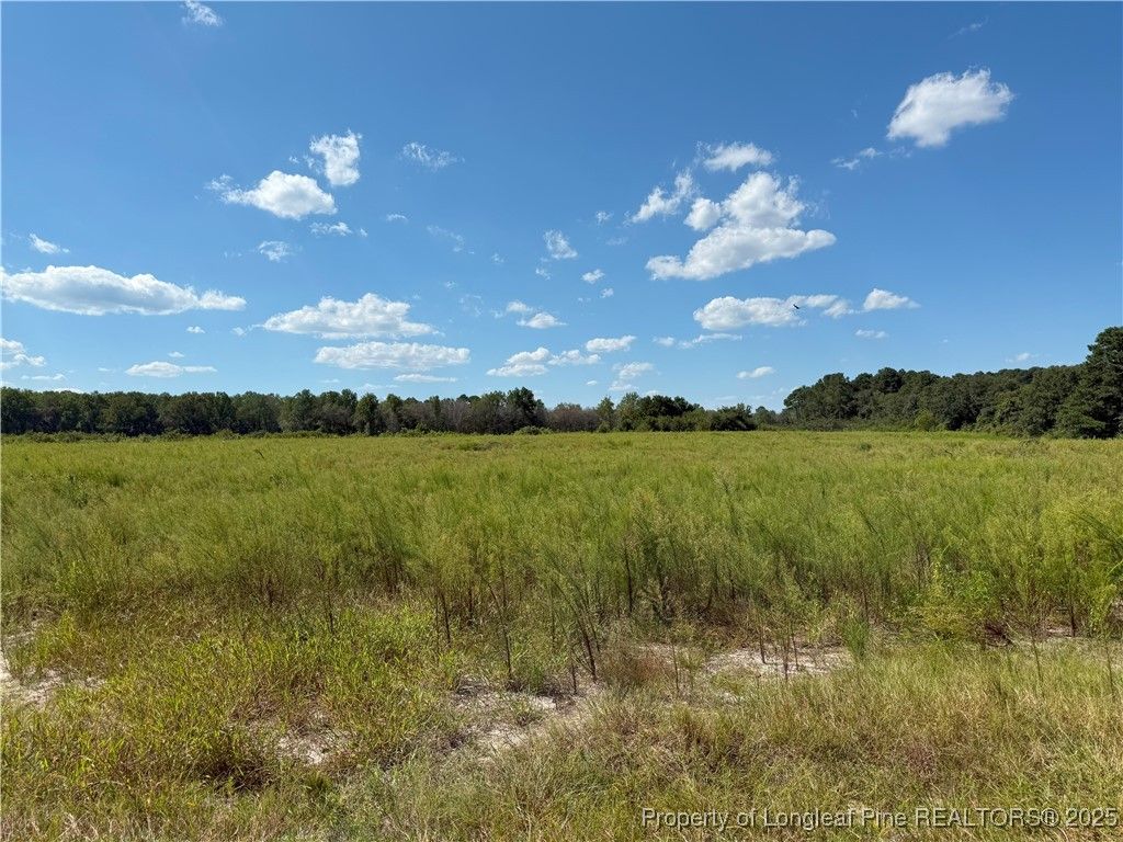 Lot 3 Collier Road, Wade, NC 28395