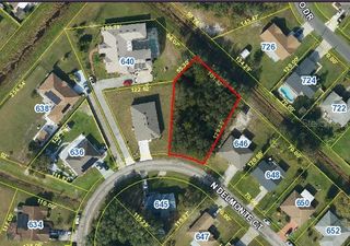 N DELMONTE COURT, Kissimmee, FL 34758