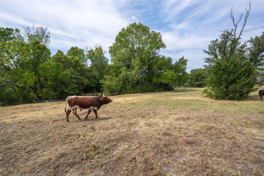 7003 E Bankhead Highway, Willow Park, TX 76008 — photo 4