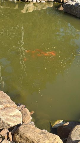 9721 Snow Hill Road, Ooltewah, TN 37363