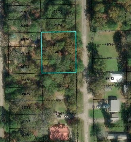 TBD Bugger Bat, Trinity, TX 75862