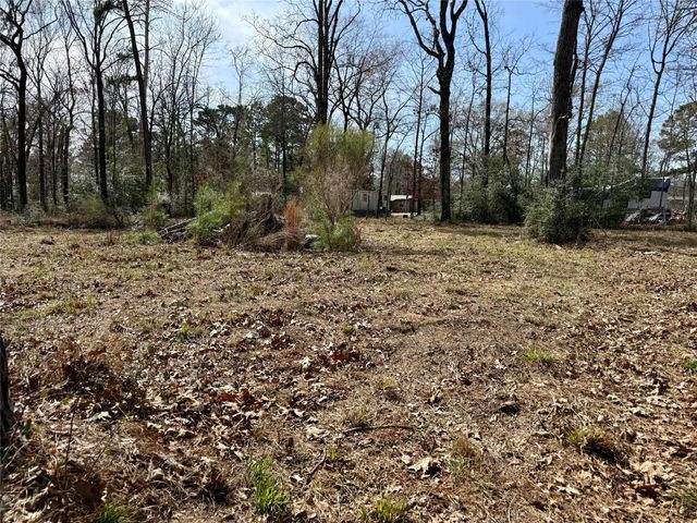 TBD Bugger Bat, Trinity, TX 75862