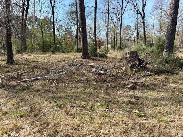 TBD Bugger Bat, Trinity, TX 75862