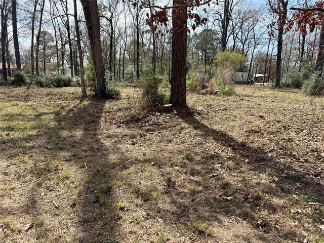 TBD Bugger Bat, Trinity, TX 75862