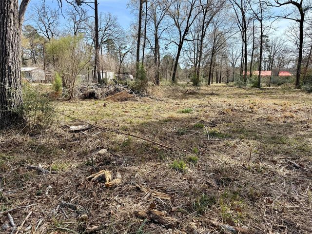 TBD Bugger Bat, Trinity, TX 75862