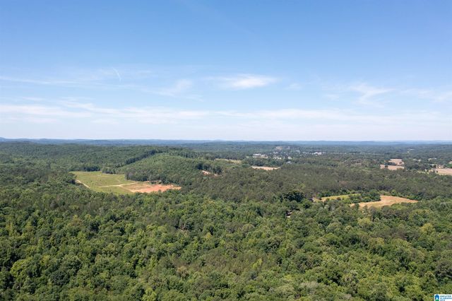 1615 FAIRWAY DRIVE SW, Jacksonville, AL 36265